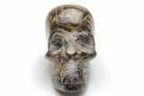 Polished Stromatolite (Greysonia) Skull - Bolivia #216719-1